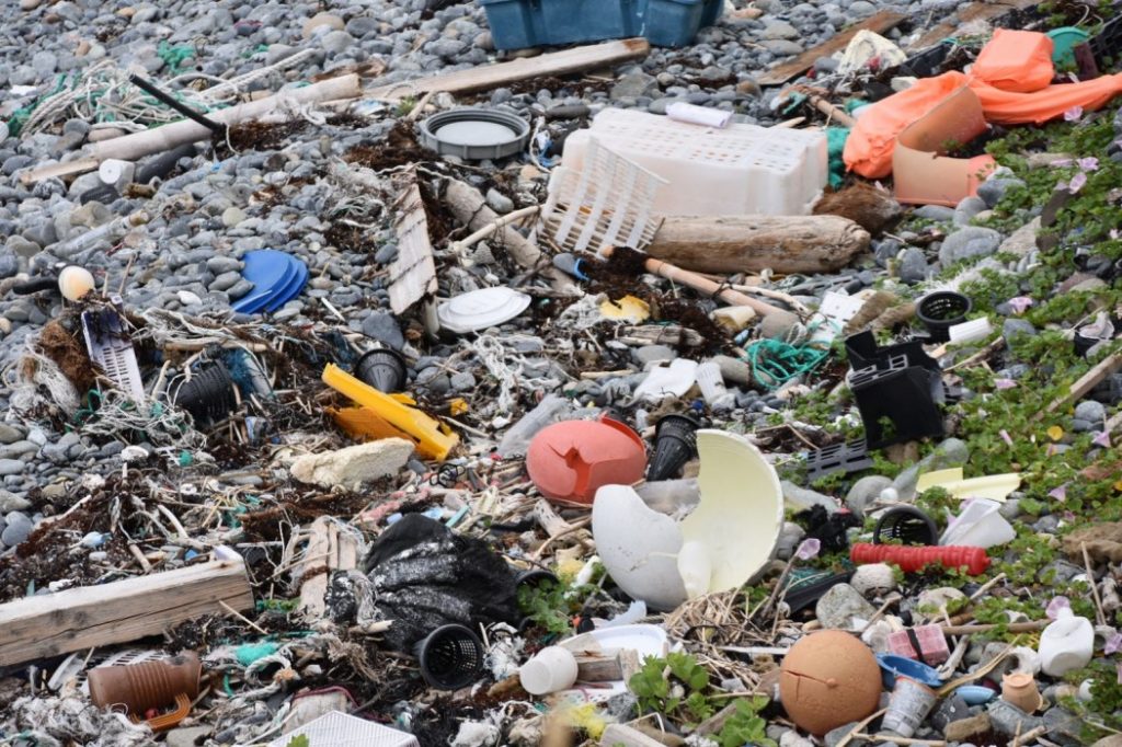 レジャースポットの抱える漂着ゴミ～佐渡島を中心に～レポート一覧 ...