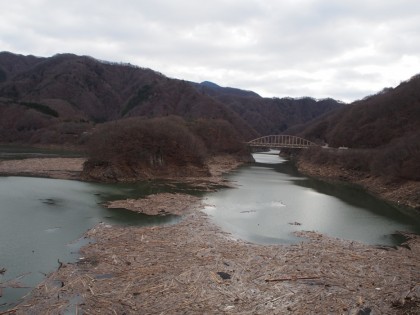 流木によるダム堤体被害