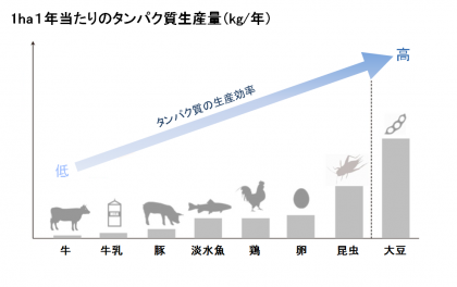 食用肉に替わるタンパク質